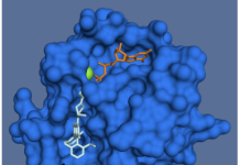 Revolution Medicines, Daraxonrasib, and the New Race to Drug KRAS Cancer