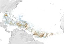 Sizing Up the Sargassum Belt – NASA Science