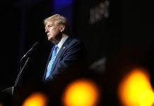 Trump gave crypto the red-carpet treatment. It’s crashing anyway