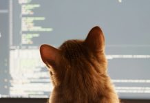 ‘Vibe coding’ is fun and easy, but there’s a major catch
