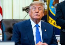 Democrats demand Trump reveal stock managers, explain suspicious trades