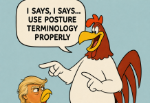 Turnaround Tuesday – Oil Down, Stock Up – Why Not?