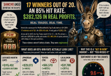 How Did PhilStockWorld Turn 20 Trade Ideas Into $282,126 While Everyone Else Was Guessing?