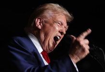 He Really IS Stark-Raving Mad