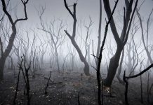 Scientists end of world warning report with earth ‘on brink of collapse’