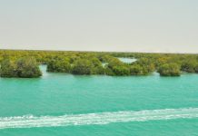 Iran oil spill: the war is leaving environmental scars that ceasefires cannot heal
