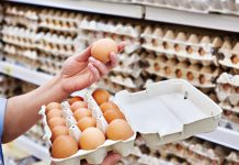 Recall of 1.6M dozen eggs classified under FDA’s highest risk level