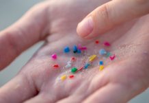 Scientists Tested 17 Human Artery Samples – And Found Microplastics in Every Single One