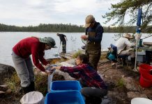 As microplastics pollute every corner of the Great Lakes, scientists push governments to combat threat