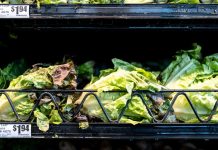 Massive lettuce-linked outbreak expands to 3 more states with over 11,000 illnesses