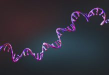 First mRNA flu shot approved by FDA bodes well for improving drugs of the future – though a few hurdles remain before mRNA can move beyond vaccines