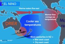 PSW Special Report – How to Trade El Niño 2026 and 2027!