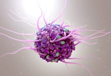 New clues suggest how destructive immune cells wreak havoc in the brain