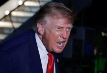CNN Comedians Reveal How Trump is Like a Nigerian Prince