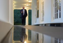 Republican and Democratic states defy Trump on AI regulation