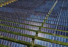 Judge Rules the EPA Illegally Terminated a $7 Billion Solar Program