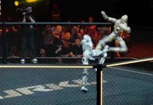 Humanoid robots fight in cage match in Shanghai