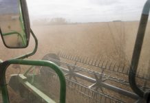 Reliably Red Iowa in Play as Economic Woes Mount