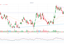 Why General Motors (GM) is Buying Back $20Bn of their own Stock Rather than Buying Stellantis (STLA)