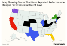Map Shows States Where Dengue Fever Cases Have Risen After Florida Outbreak
