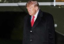 ‘You can almost see the panic in Trump’s eyes’ in his latest scramble: MS NOW host
